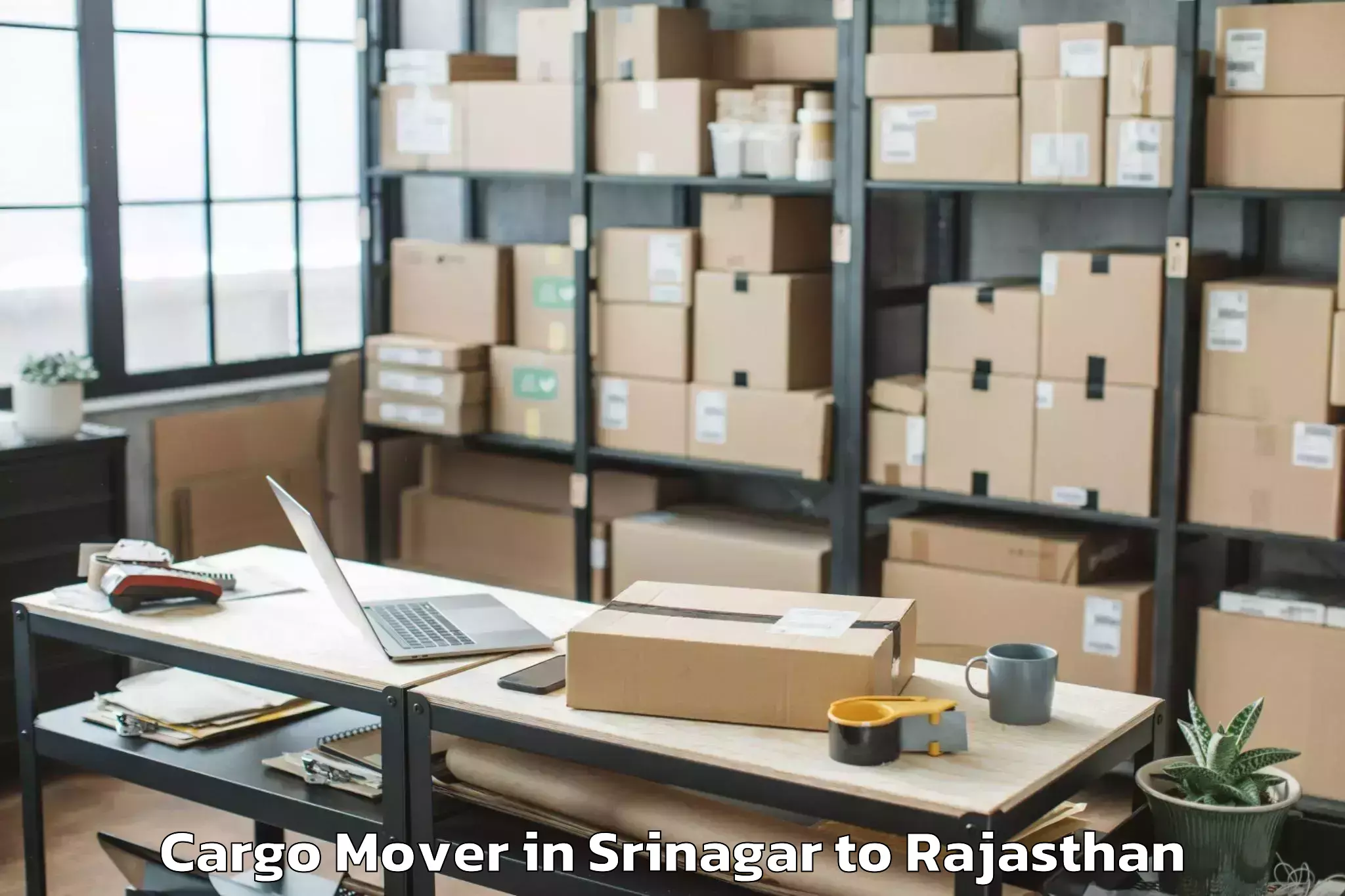 Srinagar to Pilani Cargo Mover Booking